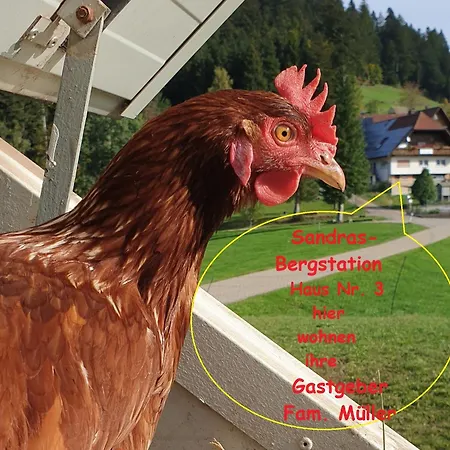 Apartamento Sandras Bergstation