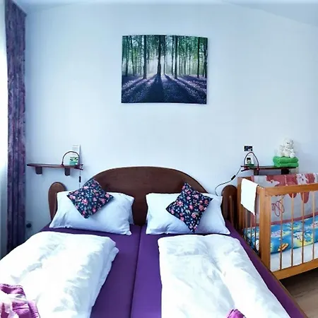 Sandras Bergstation Apartment *