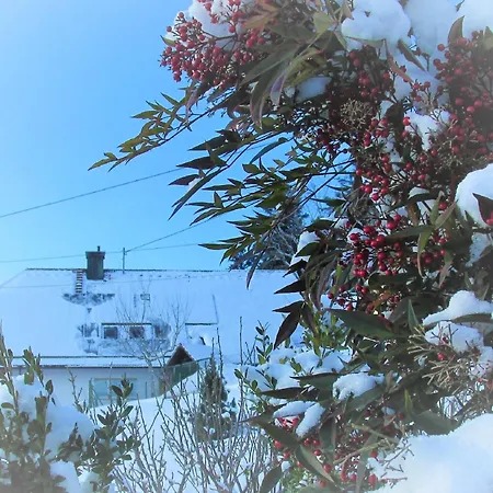 Apartamento Sandras Bergstation Bad Rippoldsau-Schapbach