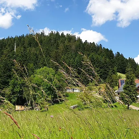 Sandras Bergstation Apartamento *