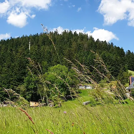 Sandras Bergstation * Bad Rippoldsau-Schapbach