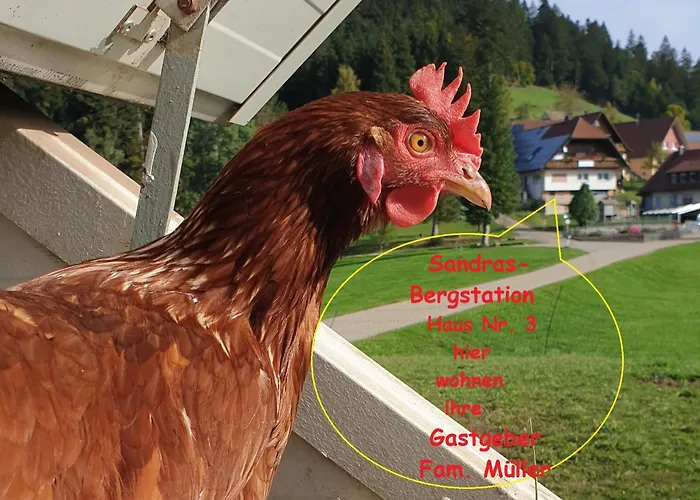 Apartmán Sandras Bergstation