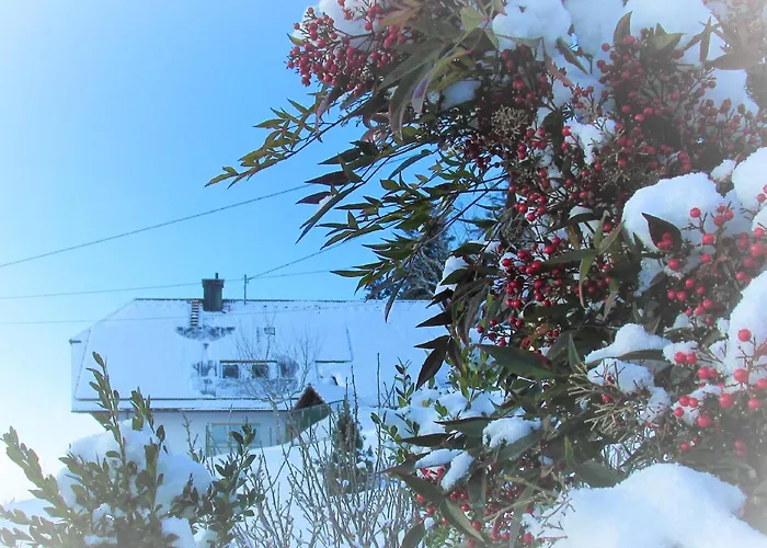 Apartmán Sandras Bergstation Bad Rippoldsau-Schapbach