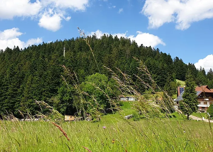 Sandras Bergstation * Bad Rippoldsau-Schapbach